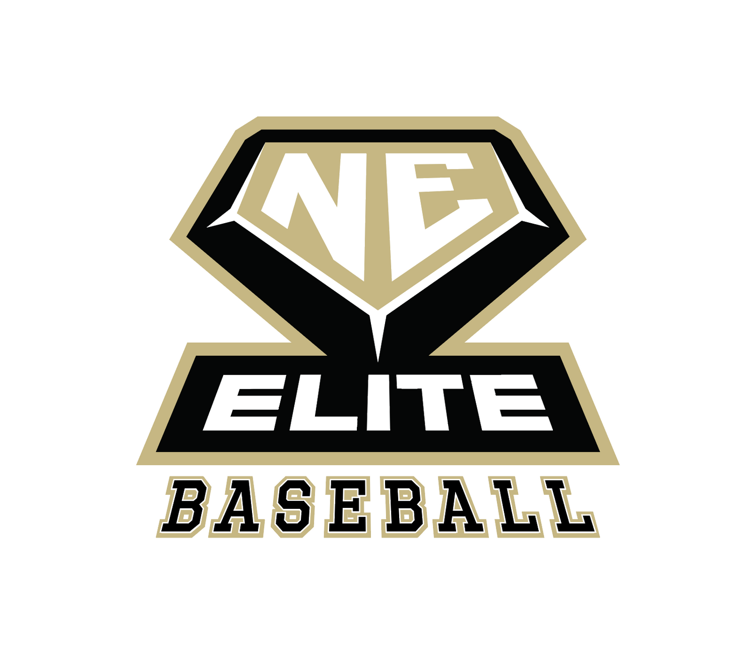 NE Elite Baseball Gear
