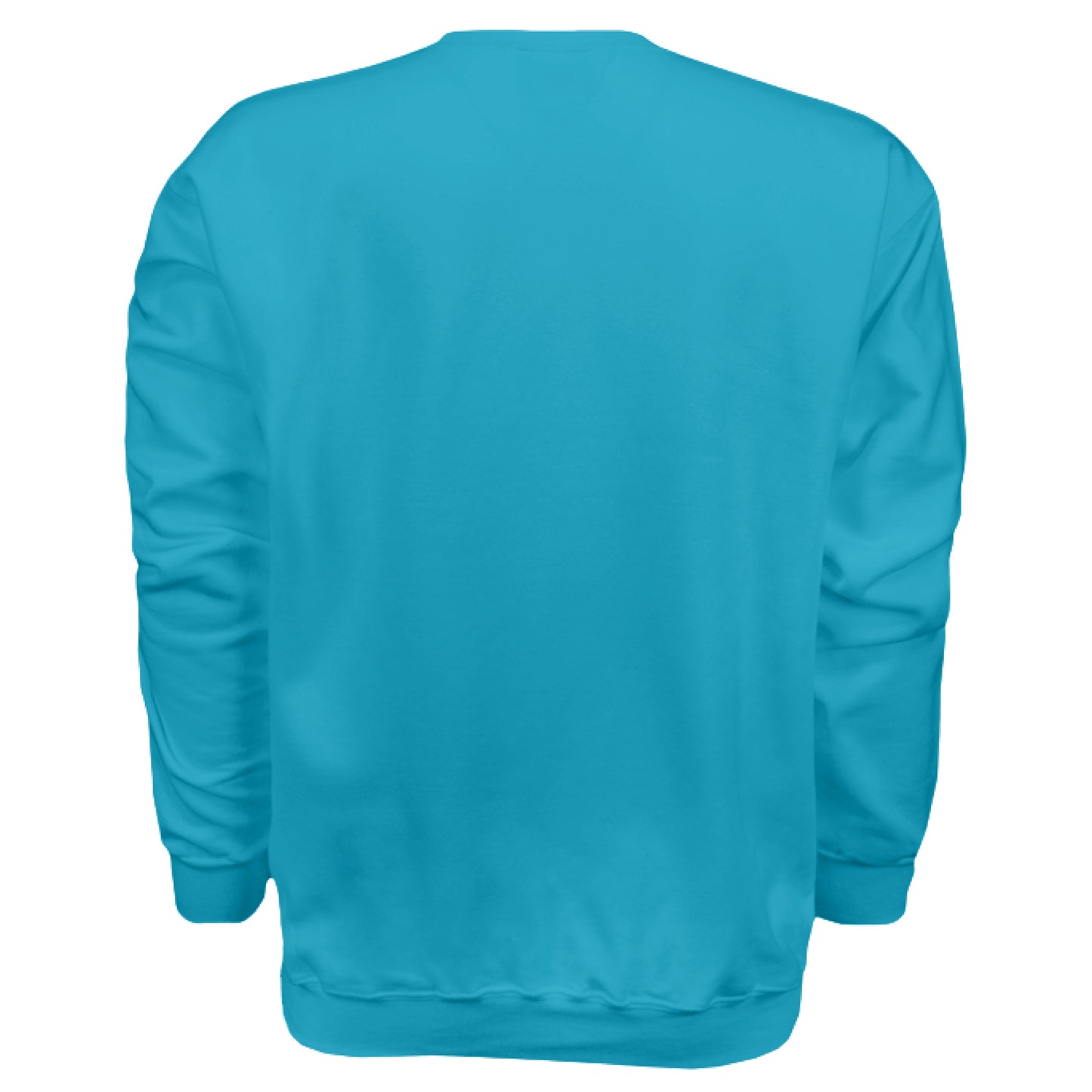 Teal - BACK