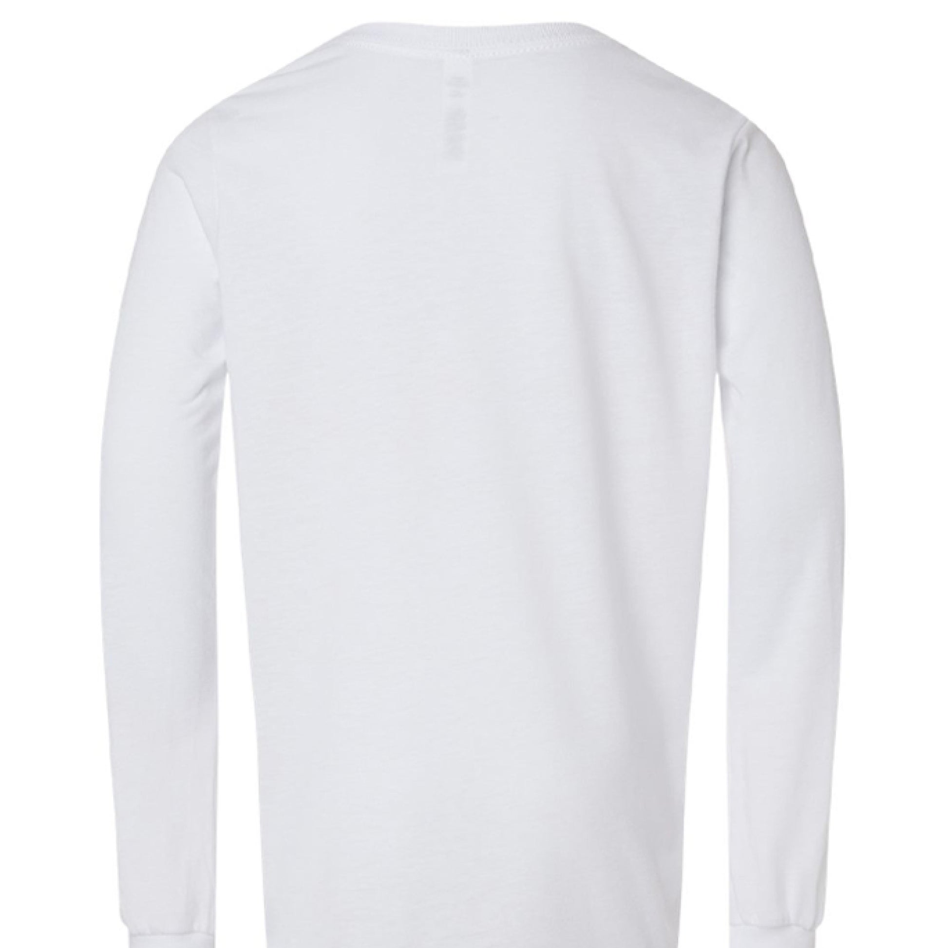 Solid White Triblend - BACK